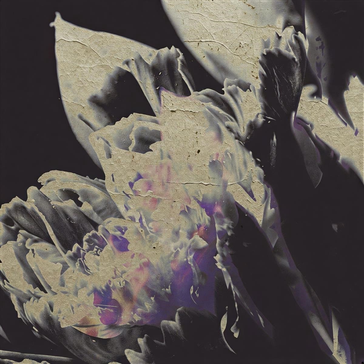 Various Artists - Traversee 04: Moving Silhouettes (LP)