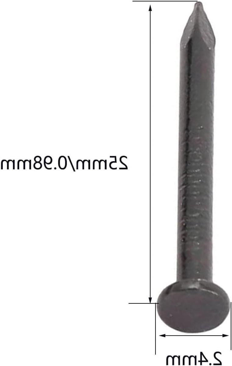 100 Stuks Spijkers voor Betonnen Muren, 2.4mm x 25mm Wandspijkers voor Houtbewerking, Bevestigen van Foto's en Meubels, Duurzame Constructie Spijkers