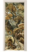 Sticker de porte Lacertilia - Maîtres anciens - Art - 85x205 cm - Affiche de porte