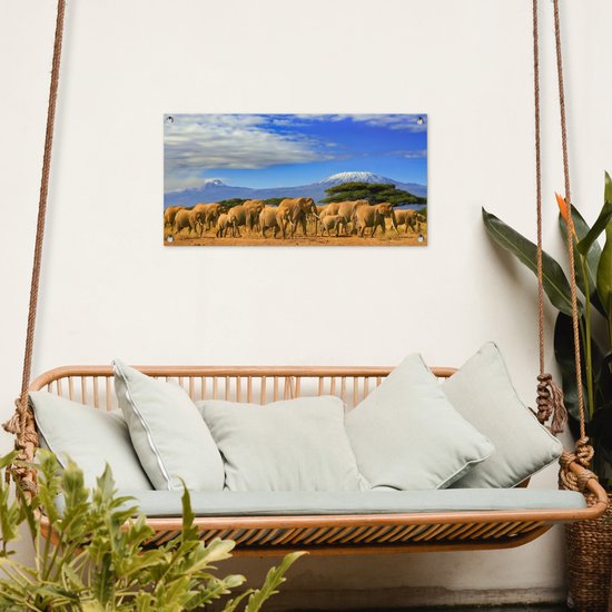 Poster de jardin Eléphant - Berg - Tanzanie - 80x40 cm - Décoration murale Outdoor - Poster de jardin - Toile de jardin - Poster de clôture - Tableau de jardin