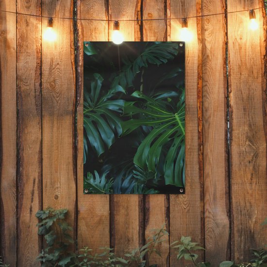Posters de jardin Jungle - Vert - Feuilles - 60x90 cm - Toile de jardin