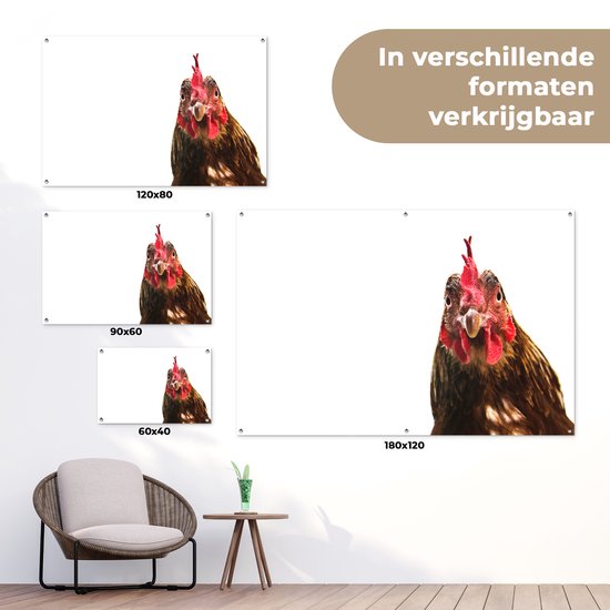 Affiche de jardin gros plan coq 120x80 cm - Toile de jardin / Toile d'extérieur / Peintures d'extérieur (décoration de jardin)