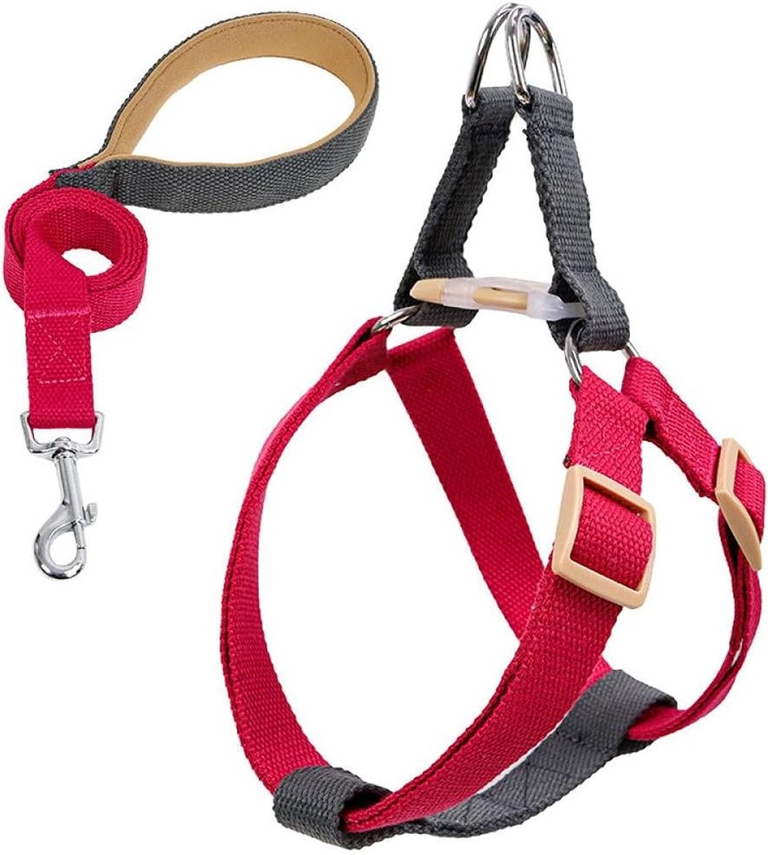Hondenriem en Tuigje - Hondentuig met Lijn - Dagelijkse Wandeltraining - Comfortabele Borstband - 120 cm Lijn - F