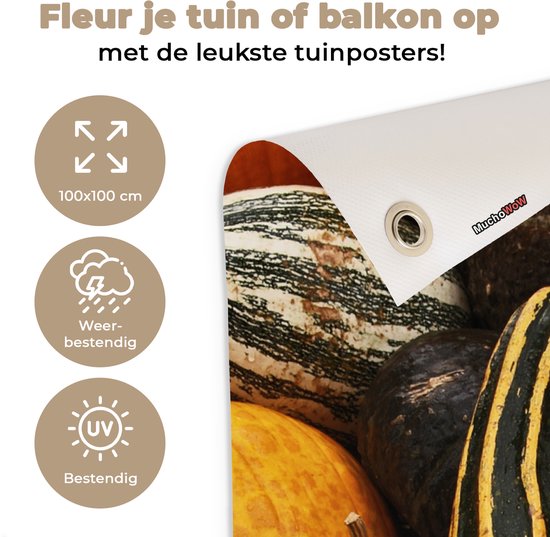 Tuinposter 100x100 cm - Tuindecoratie Pompoen - Herfst - Oranje - Poster voor in de tuin - Buiten decoratie - Schutting tuinschilderij - Tuindoek muurdecoratie - Wanddecoratie balkondoek