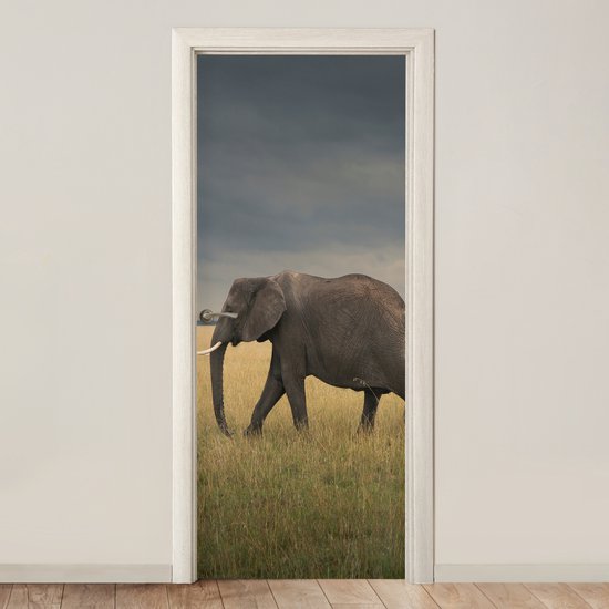 Deurposter 80x205 cm - Deursticker Olifant - Savanne - Dieren - Natuur - Meubelfolie zelfklevend - Deurfolie woonkamer - Interieurfolie fotobehang - Deur plakfolie - Deurstickers - Deurbehang sticker - Kamer decoratie