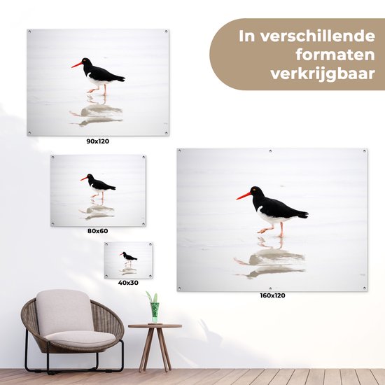 Tuinposter 40x30 cm - Tuindecoratie Scholekster weerspiegelt in het water - Poster voor in de tuin - Buiten decoratie - Schutting tuinschilderij - Tuindoek muurdecoratie - Wanddecoratie balkondoek