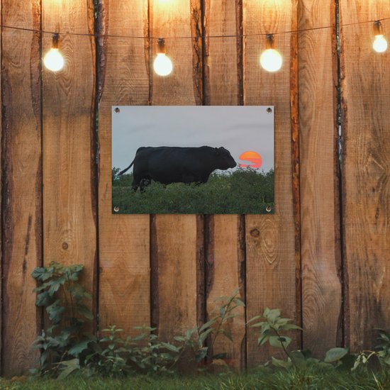 Décoration de jardin Vache - Zwart - Soleil - 60x40 cm - Poster jardin - Toile jardin - Poster extérieur