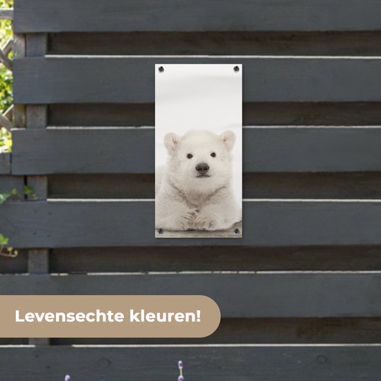 Tuinposter 30x60 cm - Tuindecoratie IJsbeer - Dieren - Kinderen - Wit - Jongens - Meisjes - Poster voor in de tuin - Buiten decoratie - Schutting tuinschilderij - Tuindoek muurdecoratie - Wanddecoratie balkondoek