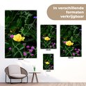 Product afbeelding  11