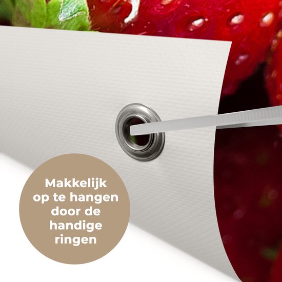 Chiffon de jardin Fraise - Fruit - Graines - 100x100 cm