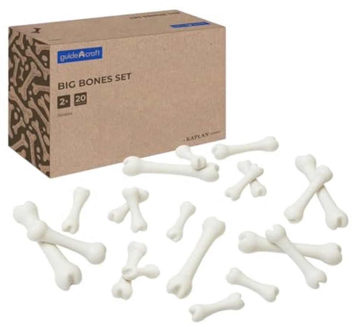 Guidecraft educatief speelgoed Big Bones set - 20 stuks karton.