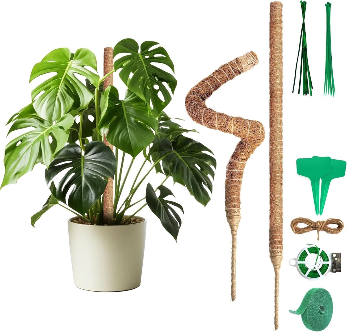 Klimsteun voor Monstera en andere kamerplanten - Flexibele mosstokken van kokosvezel met accessoires, 60 cm (Set van 2)