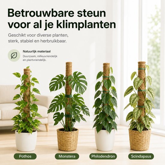 BOTC Mosstok voor Planten - 2x40cm - Plantenstok - Plantensteun - Perfect voor Monstera, Pothos en Meer