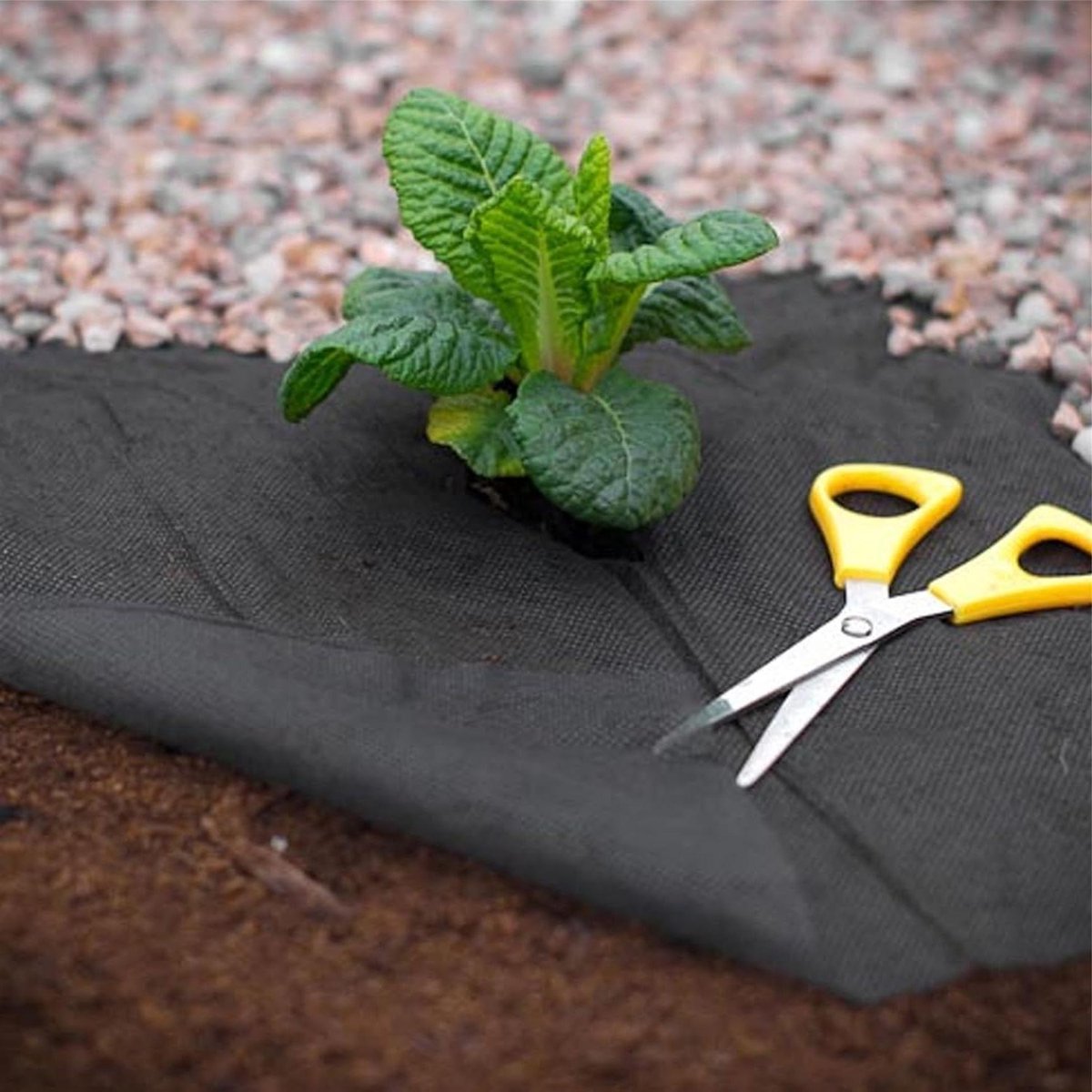 Onkruid Mat - Gronddoek Bodembedekker - Planten Beschermen - Geweven Stof - 1m x 1.5m - Wit