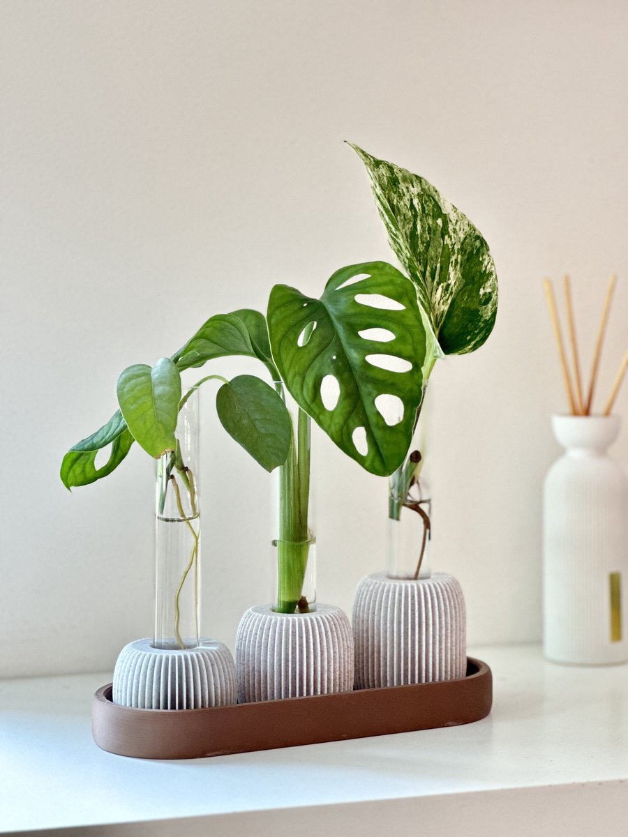 BOLTO Stekhouder Donkerbruin – Stekjesstation met 3 Glazen Reageerbuisjes – Kamerplanten Stekken – Monstera Pothos – Planten Cadeau Urban Jungle