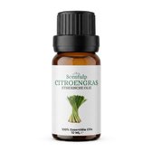 Scentulp - Citroengras Etherische Olie 10 ml - Fris en Citrusachtig