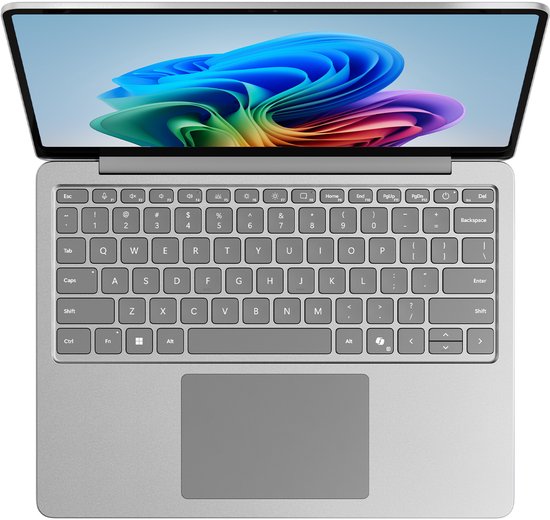 Microsoft Surface - Copilot + Ordinateur portable - Écran tactile 13 pouces - X Plus - 16 Go RAM / 256 Go SSD - Platinum
