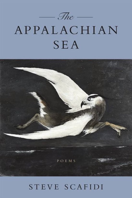 Boekomslag van 'The Appalachian Sea' met een vogel met een menselijk lichaam op de golven.