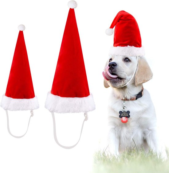 Kerstkaart- Hond met kerstmuts - Kerstkaarten