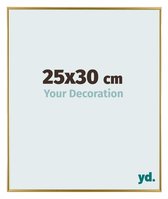 Your Decoration - Fotolijst 25x30 cm - Kunststof - Goud - Evry