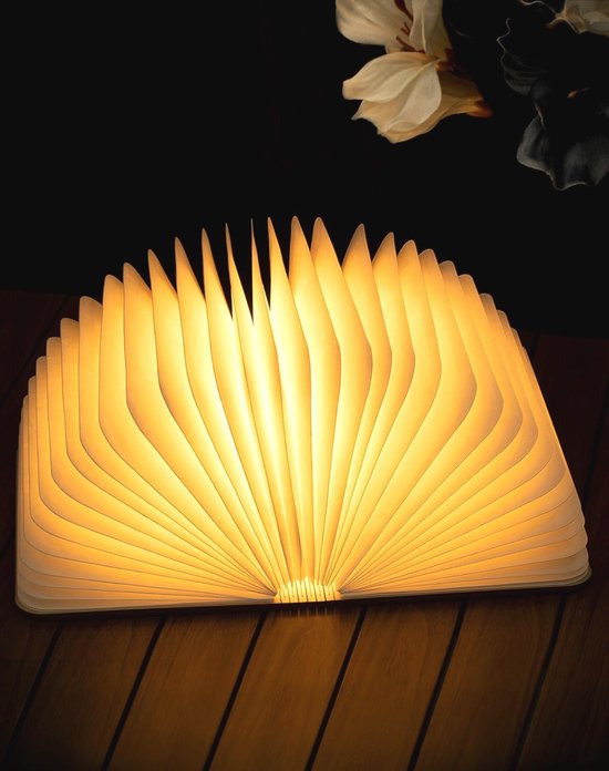 LED sfeerlamp skipiste, animatie, muziek