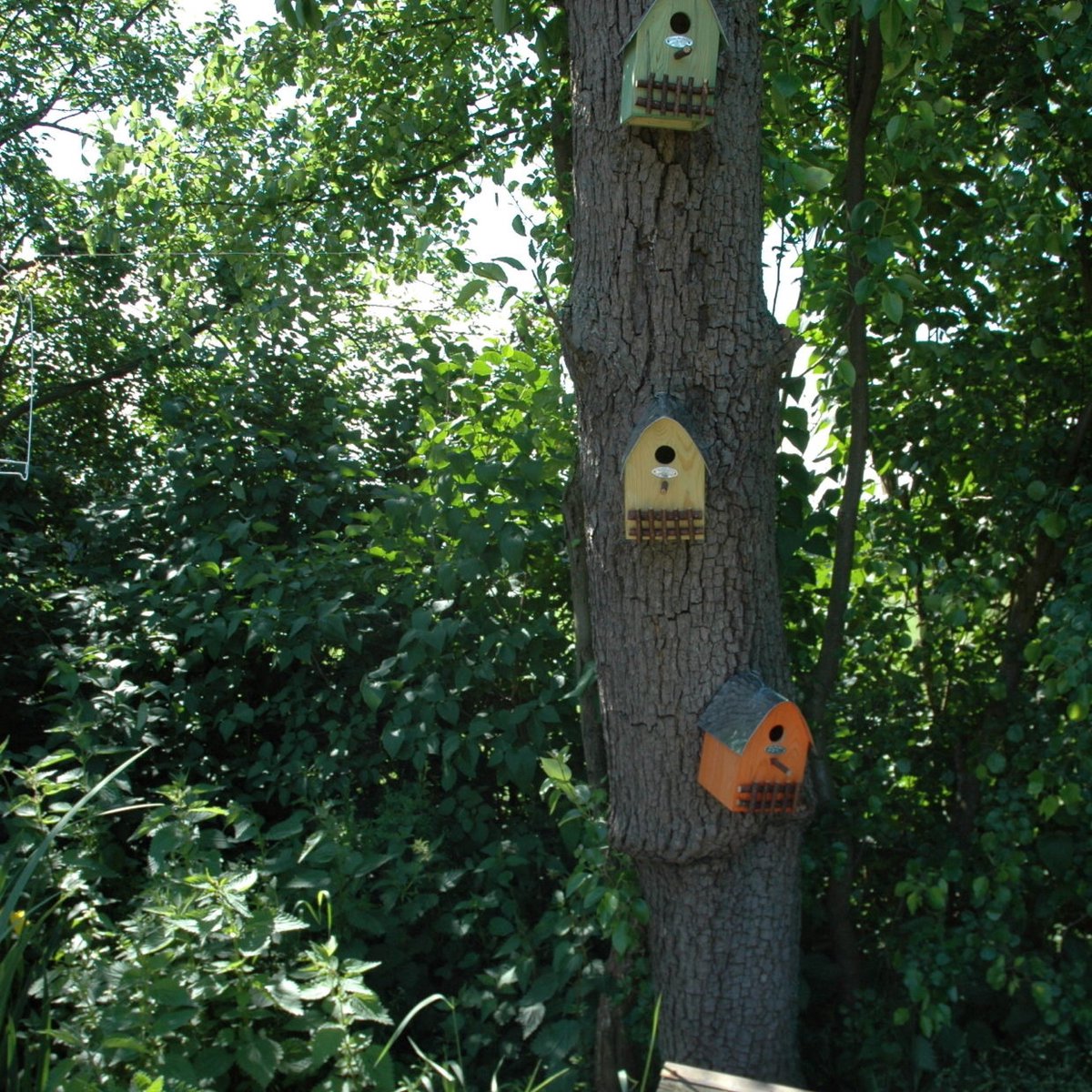 Landelijke nestkast - Vogelhuisje - Nestkastje - Vogel Huis - Landelijke nestkast bruin/rood - Vogelhuisjes - Nestkasten / vogelhuisjes - Nesten