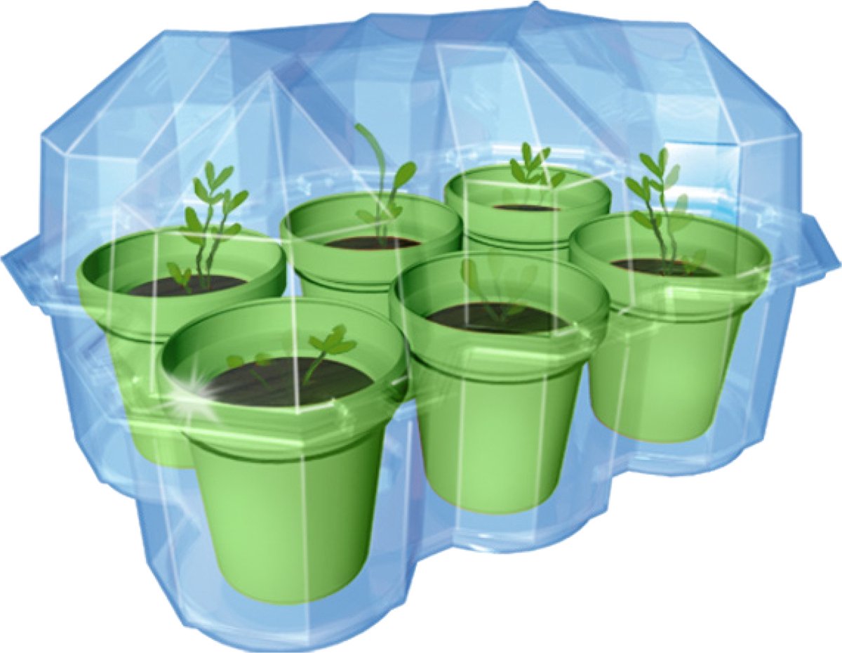 KOSMOS Mimosa Garden - Experimenteerset - Kweek Je Eigen Gevoelige Mimosa Planten - Mini Kas Inclusief Zaden - Ontdek Hoe Planten Reageren op Aanraking - STEM Speelgoed - Vanaf 6 Jaar — cadeau in Spellen & Speelgoed - foto 6
