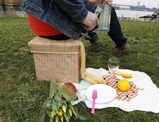 Kikkerland Wicker Picnick Cooler Bag & Chair