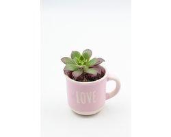 Bakkie koffie? – Koffiemok 