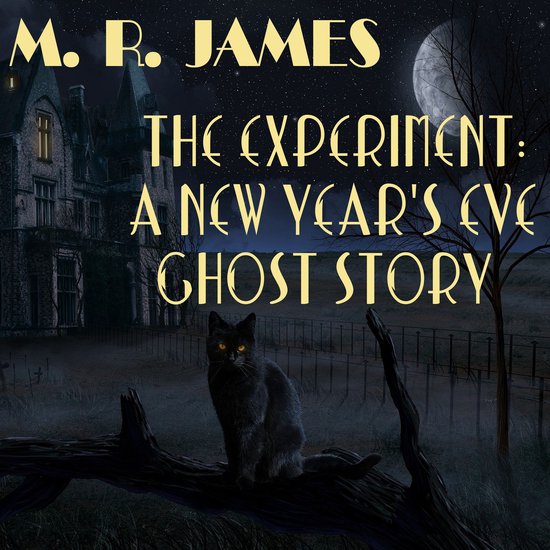 The Experiment: A New Year's Eve Ghost Story - cover