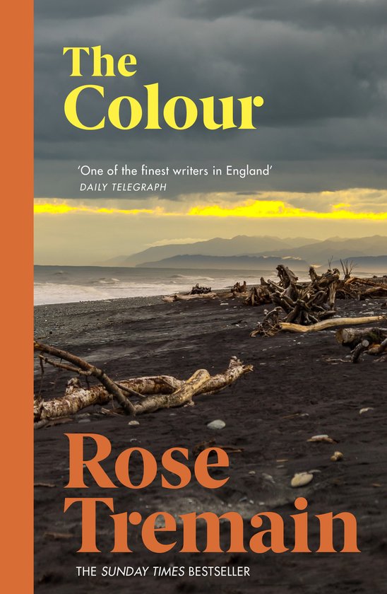 Boekomslag met de titel 'The Colour' in gele letters en de naam 'Rose Tremain' in oranje letters. De achtergrond is een stormachtige zee.