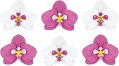 Hawaii Tafeldecoratie Orchidee 8,5cm 6st