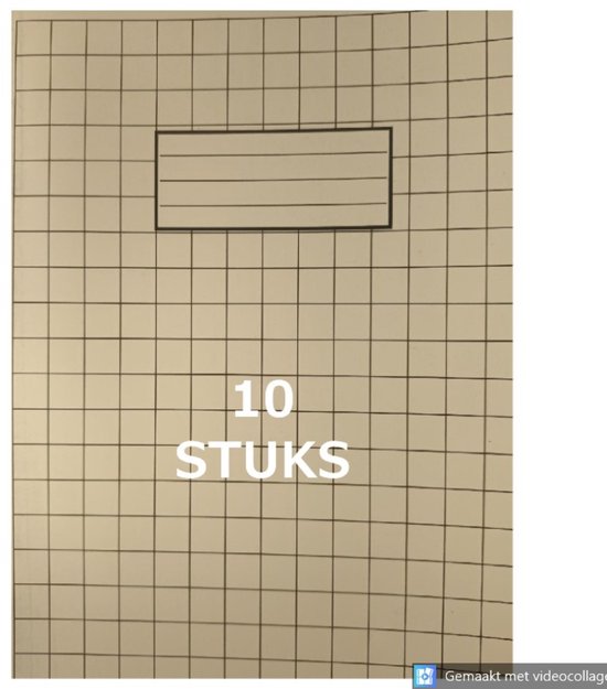 Schrift A5 - Ruit 10x10mm - 10 stuks - 80 pagina's - 70 Gram - Zonder Kantlijn - Wit - 165x210mm