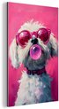 Hond - Kauwgom, Roze