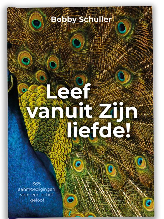 Leef vanuit Zijn liefde - cover