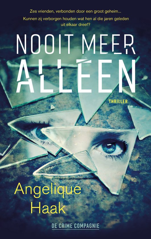 Nooit meer alleen - cover