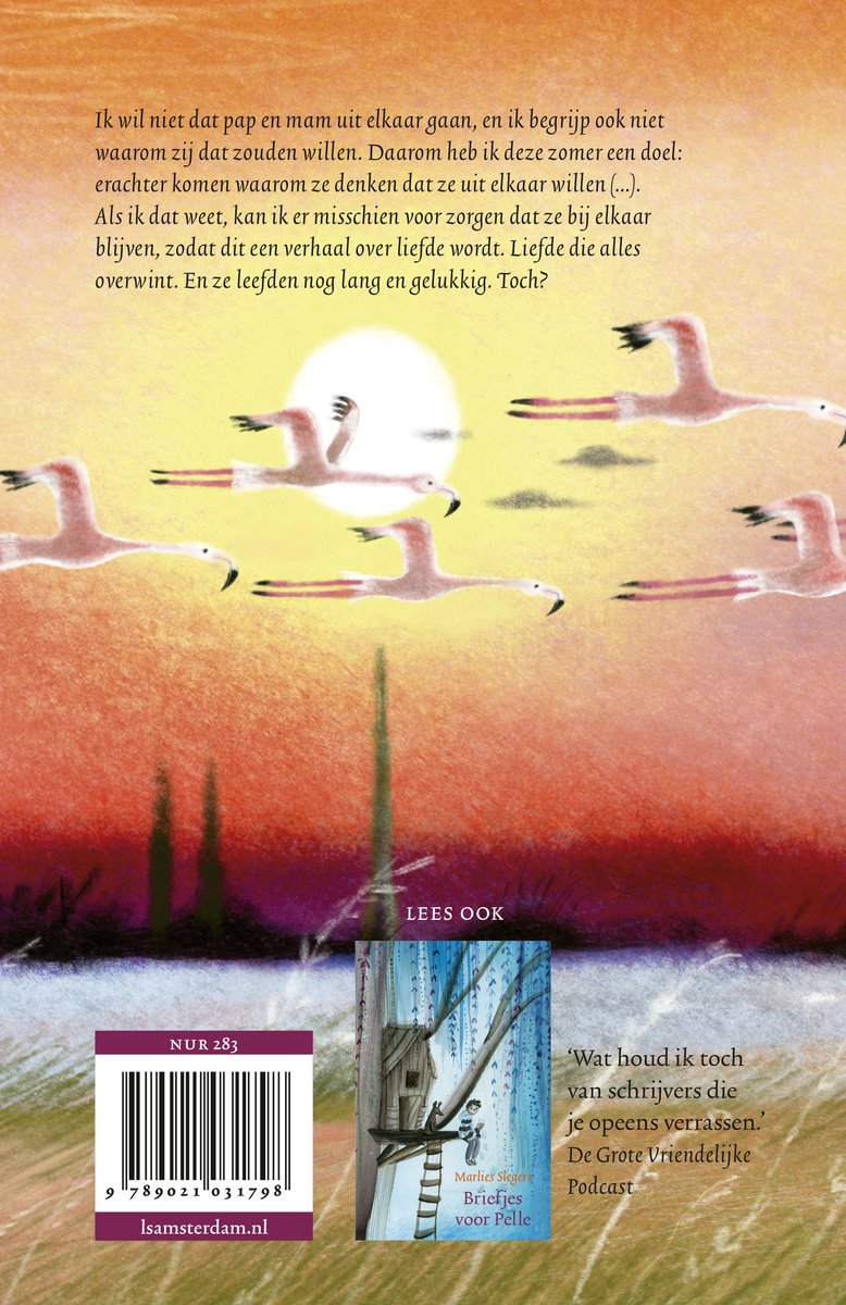 Een kudde flamingo's vliegt over een zonsondergang, met de tekst van het boek.