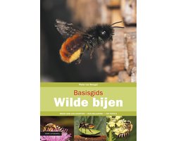 Basisgids - Basisgids wilde bijen
