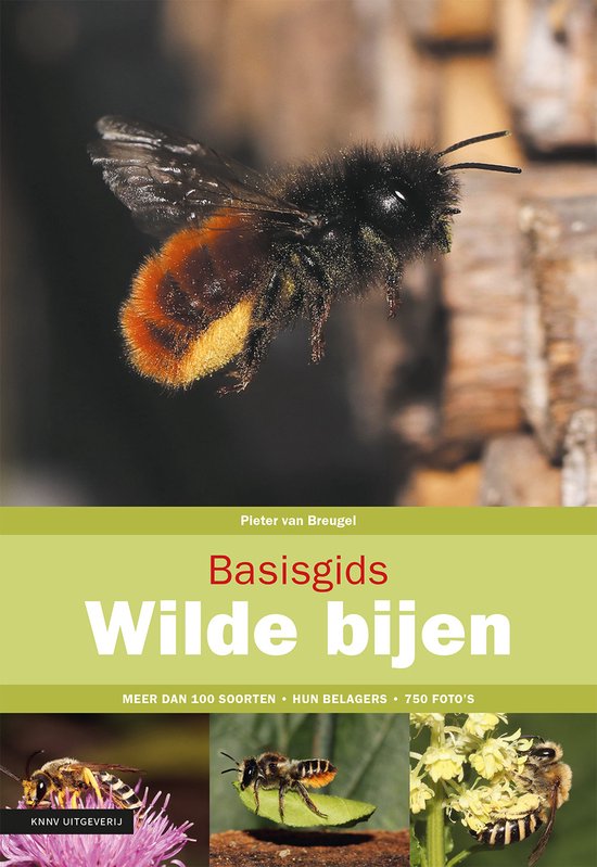 Basisgids - Basisgids wilde bijen - cover
