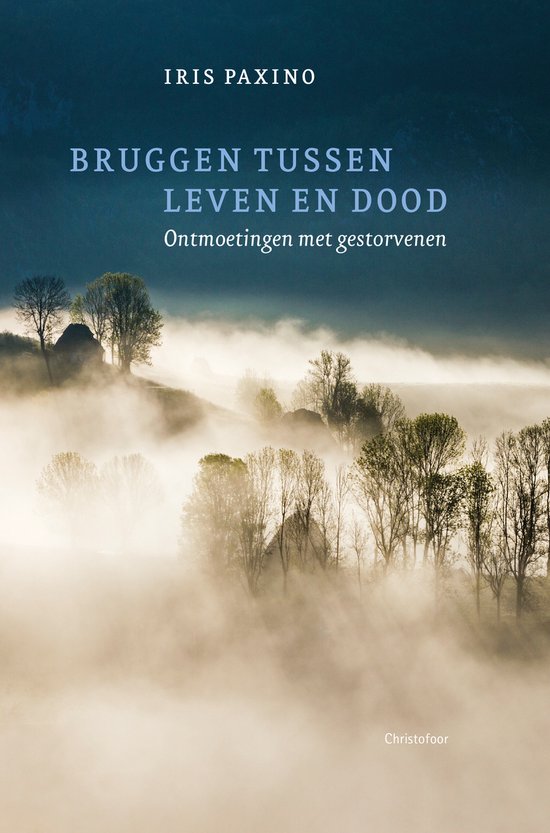 Bruggen tussen leven en dood - cover