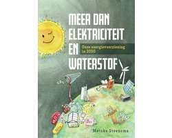 Meer dan elektriciteit en waterstof