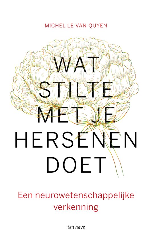 Wat stilte met je hersenen doet - cover