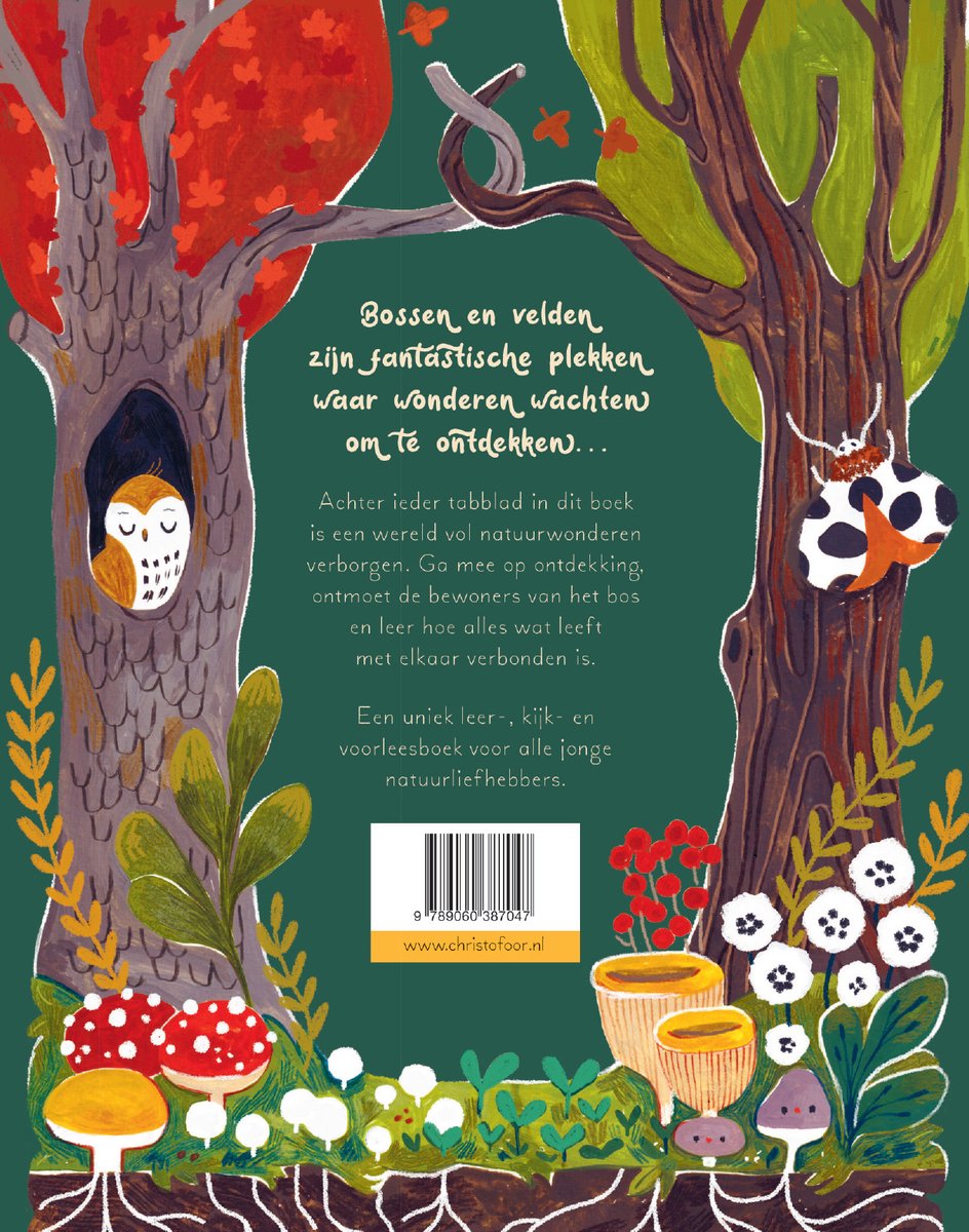 Een woud vol wonderen - back cover