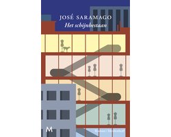 Omslag van Het schijnbestaan