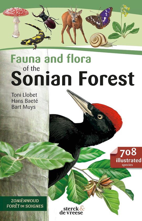 Couverture de livre : 'Faune et flore de la Forêt de Soignes' avec un pic noir, cerf, papillon, scarabée, salamandre, escargot, champignon et plantes.
