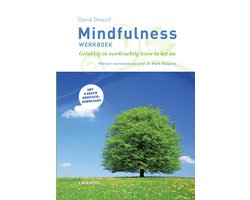 Mindfulness werkboek