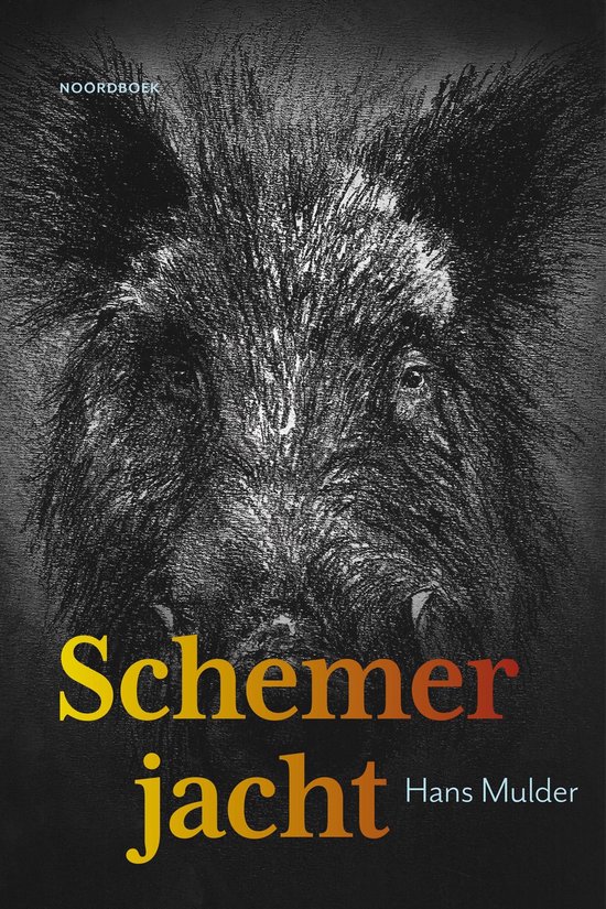 Schemerjacht - cover
