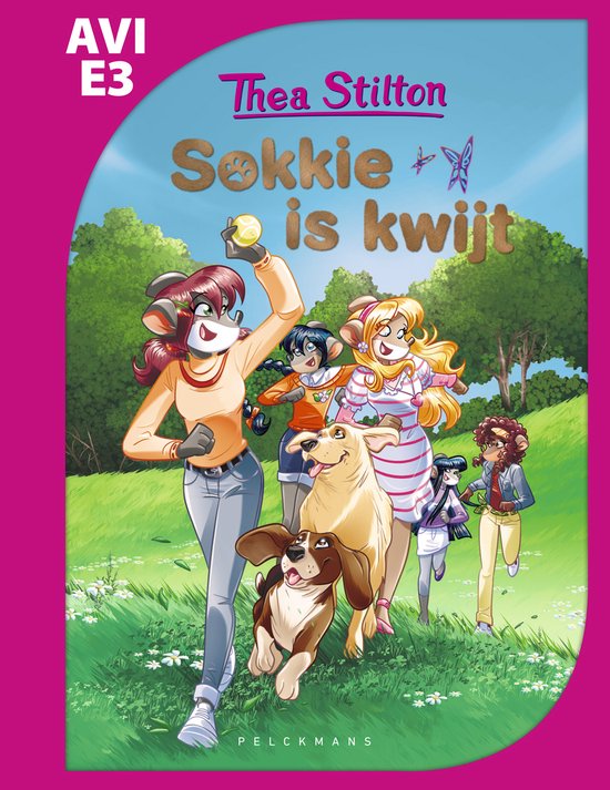 Sokkie is kwijt (AVI E3) - cover