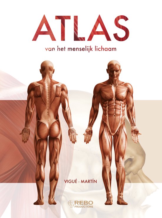 Atlas van het menselijk lichaam