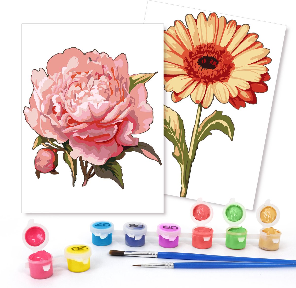 Rubye® Schilderen Op Nummer Volwassenen – Roos & Zonnebloem – Inclusief Verf en Penselen – Canvas Schildersdoek - Kleuren op Nummer - Dubbele Set - 15x20cm